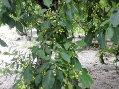-九鼎铁刹山风景区