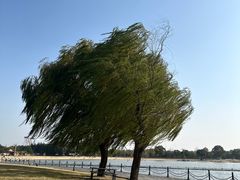 -上海月湖雕塑公园