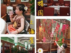 -蝶园·装修中(BFC外滩金融中心店)