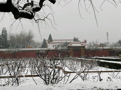 android_upload_pic-景山公园