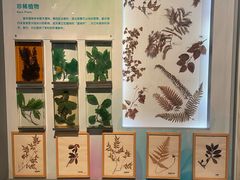 -重庆自然博物馆(新馆)