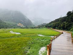 -稻城亚丁景区-冲古草甸