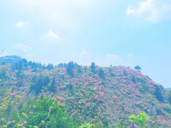 -木兰云雾山
