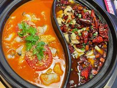 -江南鱼捞(北仑银泰城店)