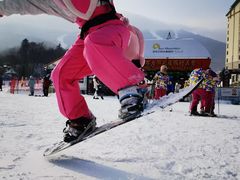 -亚布力新体委滑雪场