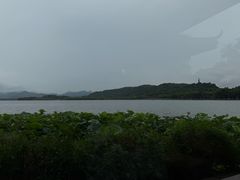 -湖畔居茶楼(湖滨店)