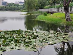-后襄河公园