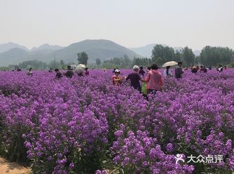 到门口就可以坐上免费的小火车围绕这个景区转一圈