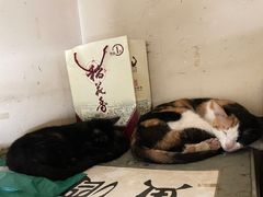 -小民大排档(马场角横路店)