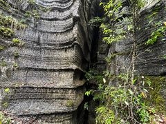 -梭布垭石林景区