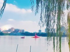 -天津水上公园