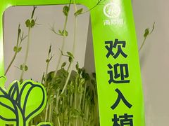 -海底捞火锅(奥森店)