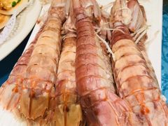 -御唐府海珊瑚主题餐厅
