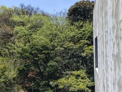 -普陀山风景区-佛顶山