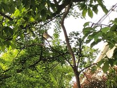 -葛仙湖公园