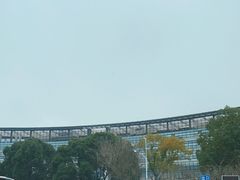 -上海中医药大学附属曙光医院(东部)