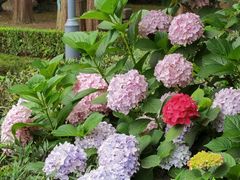 -南通博物苑-崇川人民公园