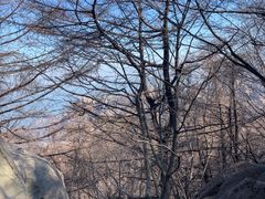 -崂山巨峰游览区
