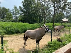 -大连森林动物园