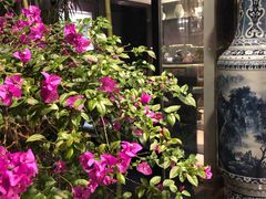 -海鸿荟·沿江菜(中山北路店)