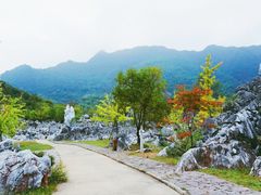 -千岛湖石林