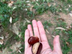 -大泽山风景名胜区