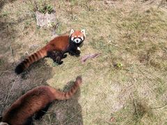 -泉州海丝野生动物世界