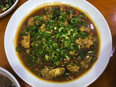 -全乐鱼馆·淳牌有机鱼直营店