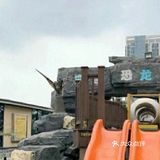 夏天被恐龙主题乐园征服了，孩子吵着要去玩