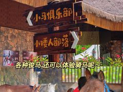 -珠海海泉湾神秘岛亲子乐园