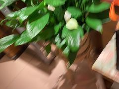 -西贝(六里桥旗舰店)
