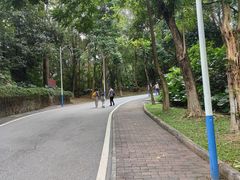 -火炉山森林公园