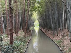 -同里国家湿地公园