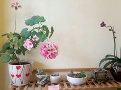 -良友书坊(安徽路店)