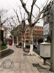 -金太子形象设计