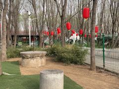-草根堂农场