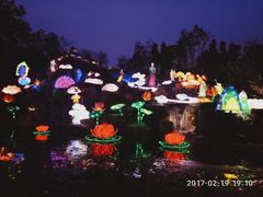 -秀丽东方