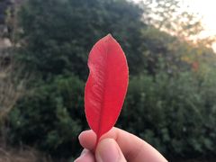-南京市江宁方山