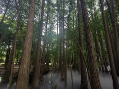 -东湖落雁景区