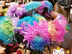 -豆豆花艺(新光天地店)