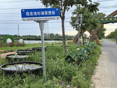 -池杉湖湿地公园