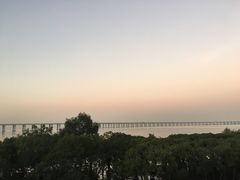 -宝安西湾红树林湿地公园