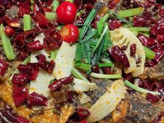 -老板恋上鱼(恒隆广场店)