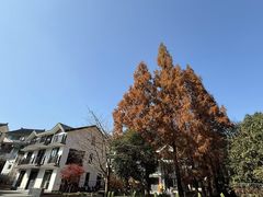 -春娟茶楼·地道农家菜(梅家坞店)