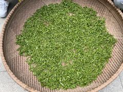 -龙坞茶村