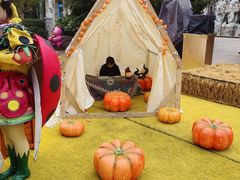 -郑州方特梦幻王国