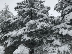 -硗碛藏寨·神木垒景区