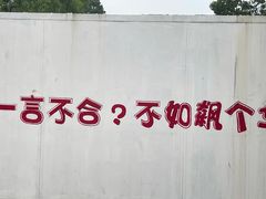 -赛达赛车主题乐园·卡丁车·团建