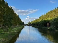 -黄海国家森林公园