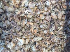 -宜宾海鲜酒家·三十年老字号